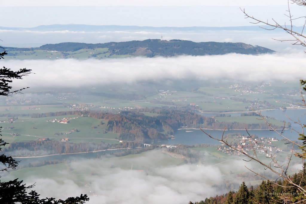 20081026_135